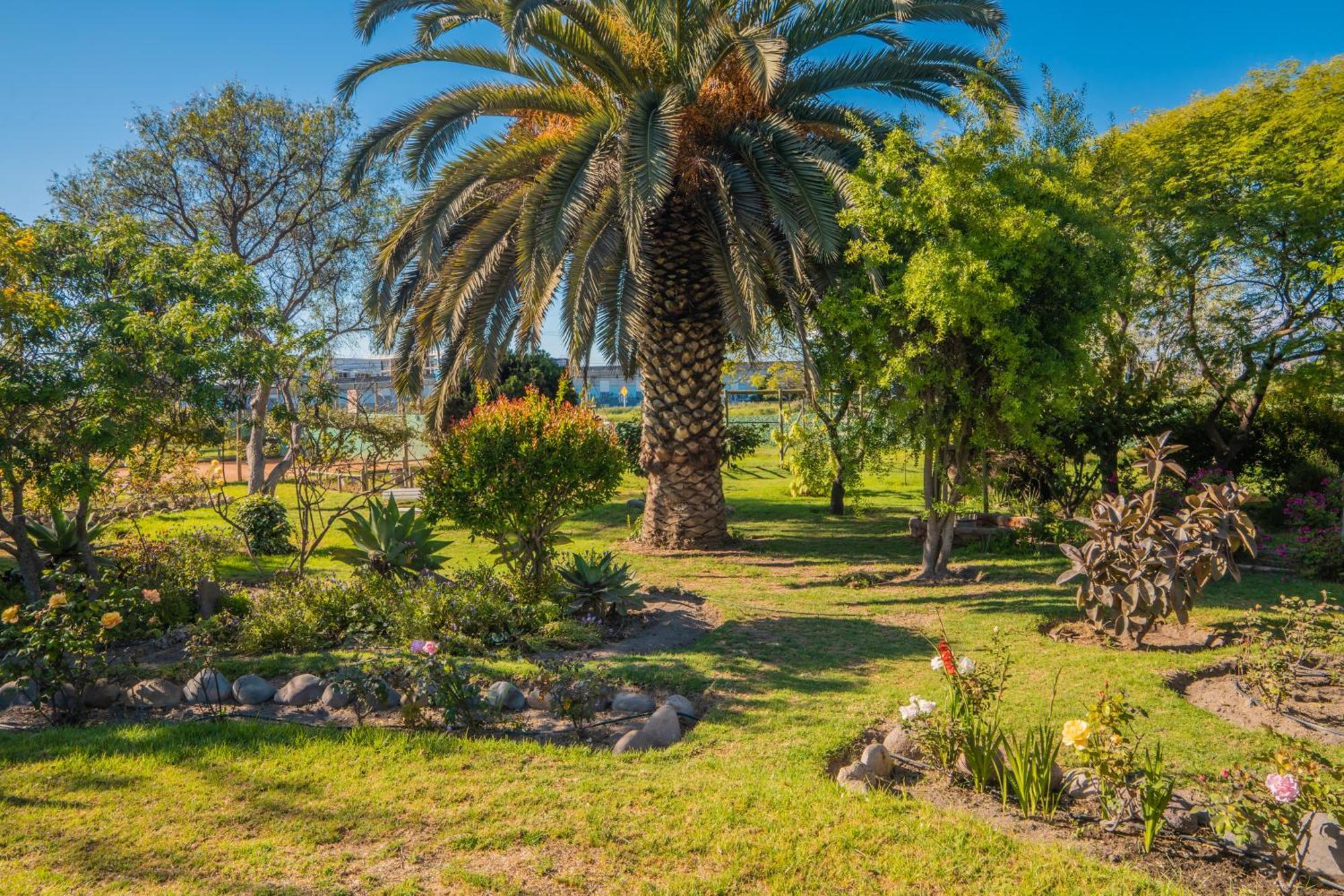 Cabanas Villa Los Platanos Λα Σερένα Εξωτερικό φωτογραφία